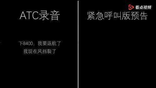 小八卦最新爆料微博视频,最新微博视频幕后真相大起底!”